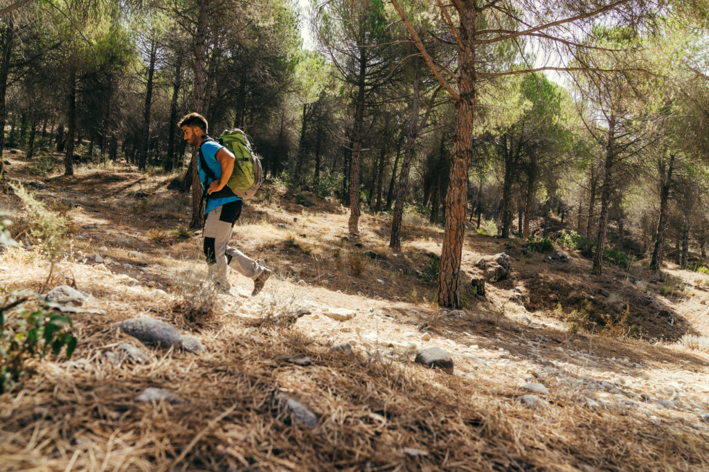 trail running races in 2025